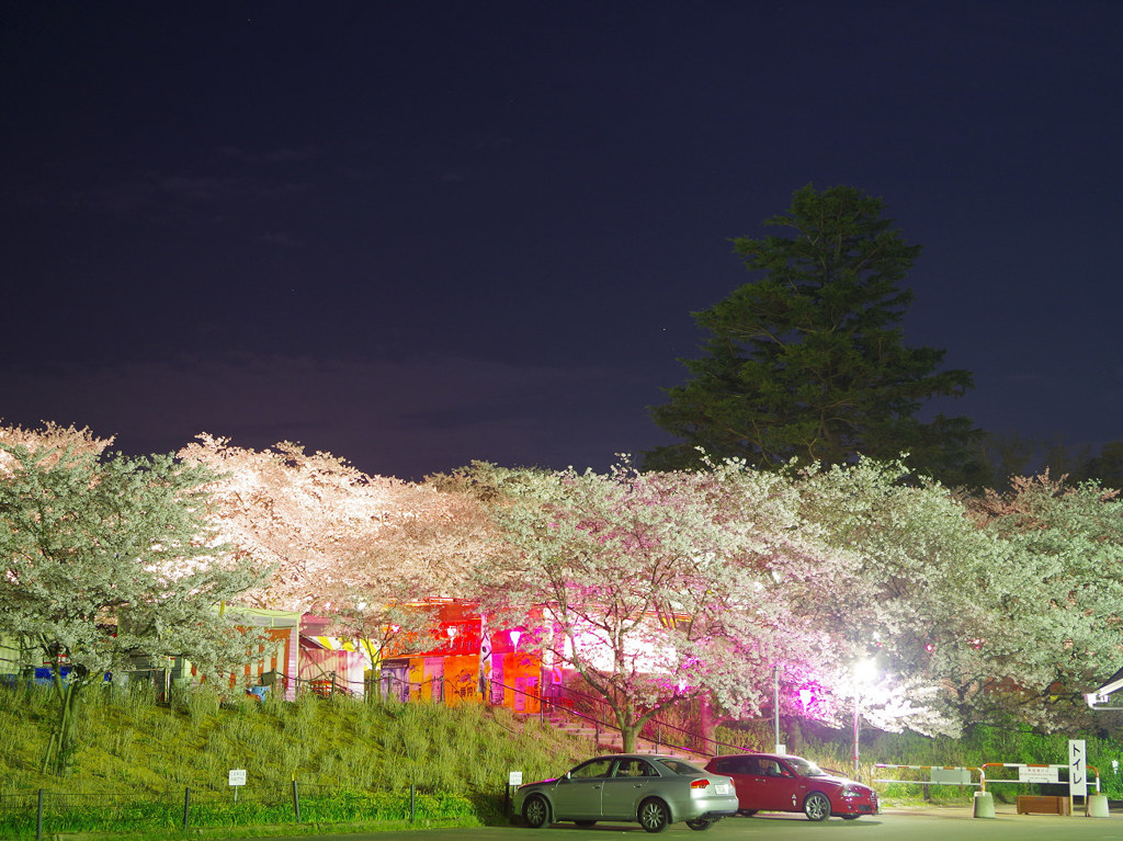 写真を撮るのが好きになる