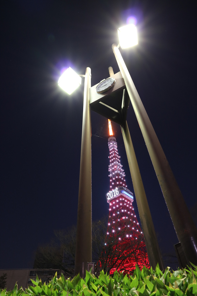 東京タワー2016