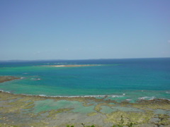 DSC00600