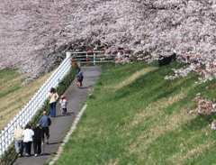 家族でお散歩