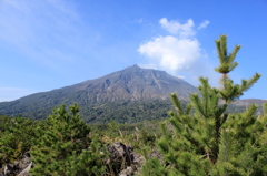 活火山桜島