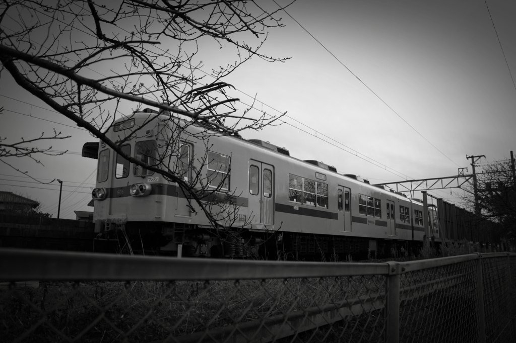 沿線からの電車