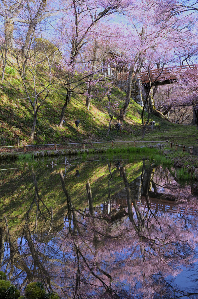 2010.04.08-05