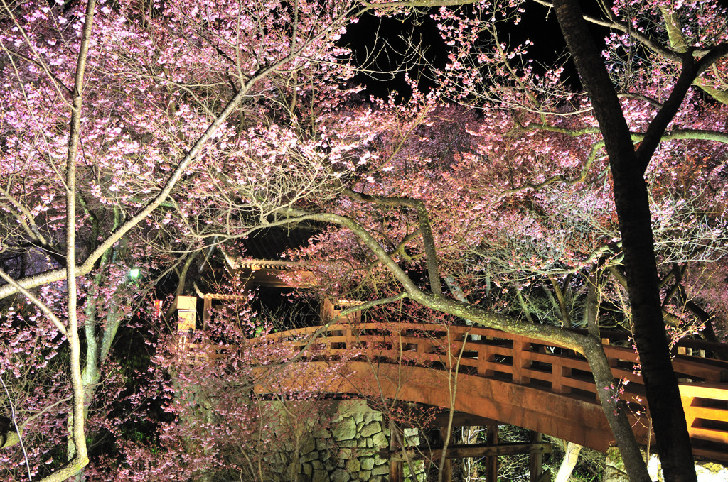 2010.04.08-10