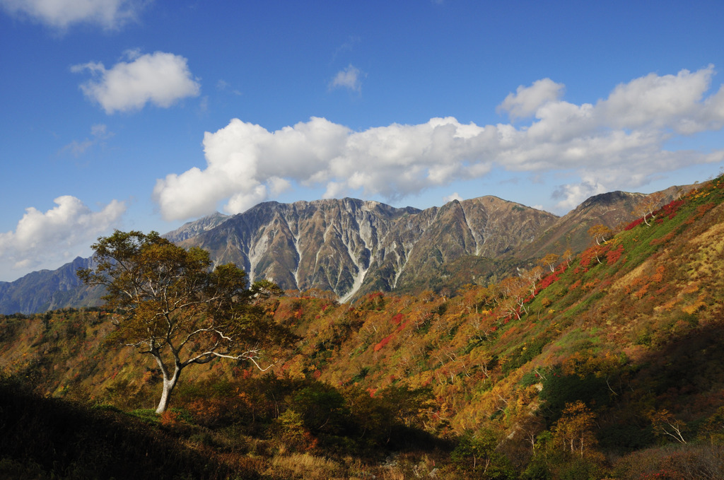 山岳紅葉