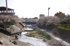 山崎川