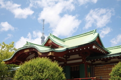 社とツリー