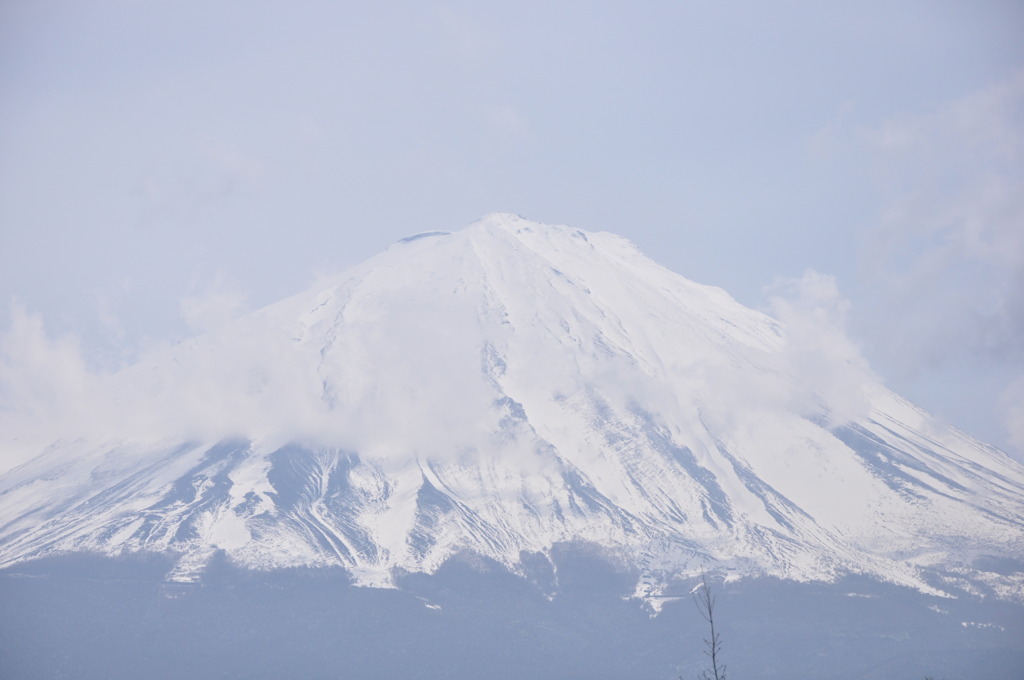 FUJI２