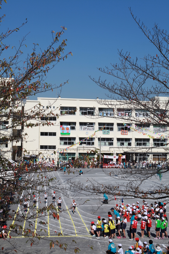 運動会