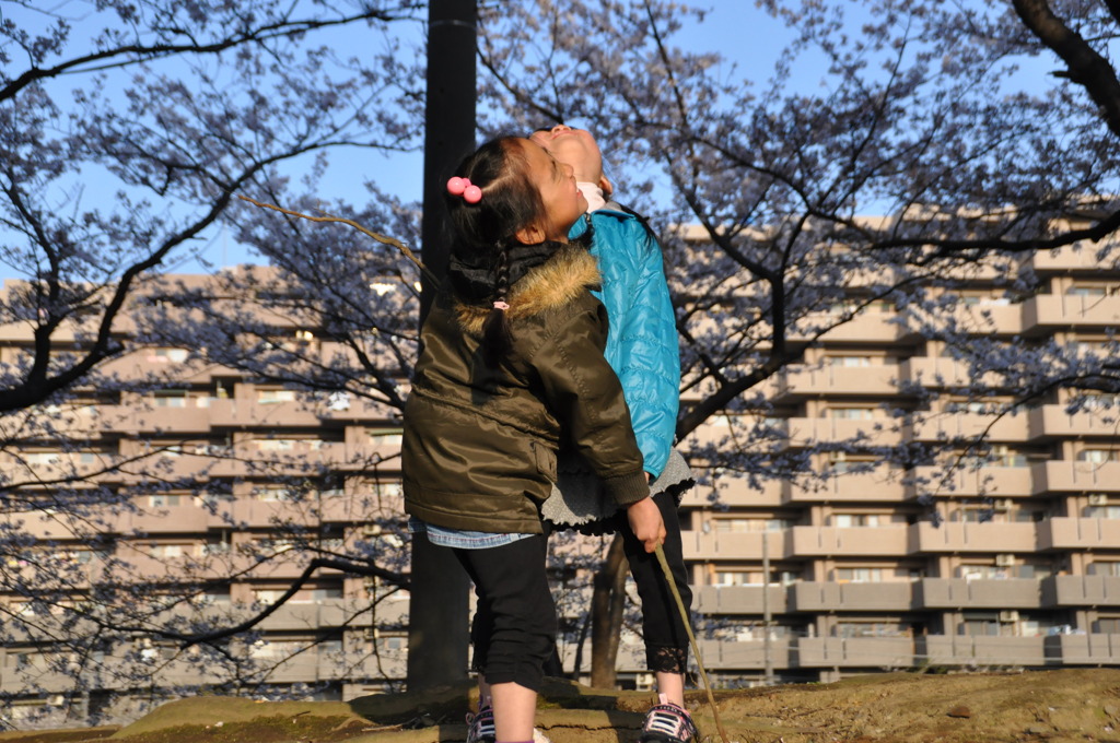 地球から宝物？