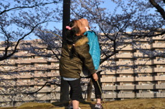 地球から宝物？