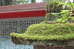 国指定重要文化財「郡山八幡神社」②