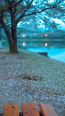 SDIM0103