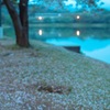 SDIM0103
