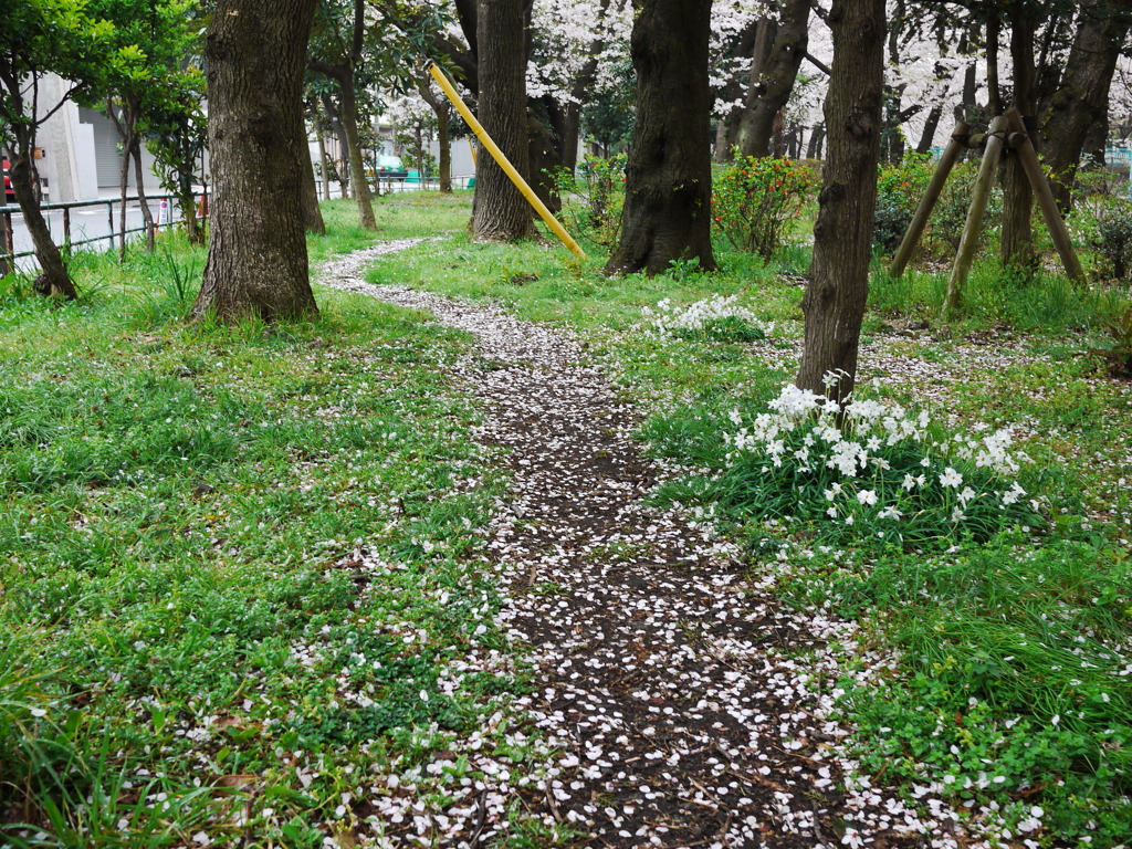 花道