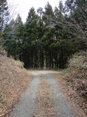 分かれ道