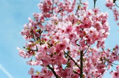 pict-40570003
