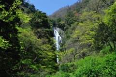 神庭の滝