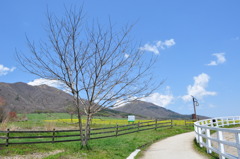 5月の高原