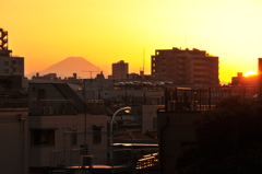 都内からの富士