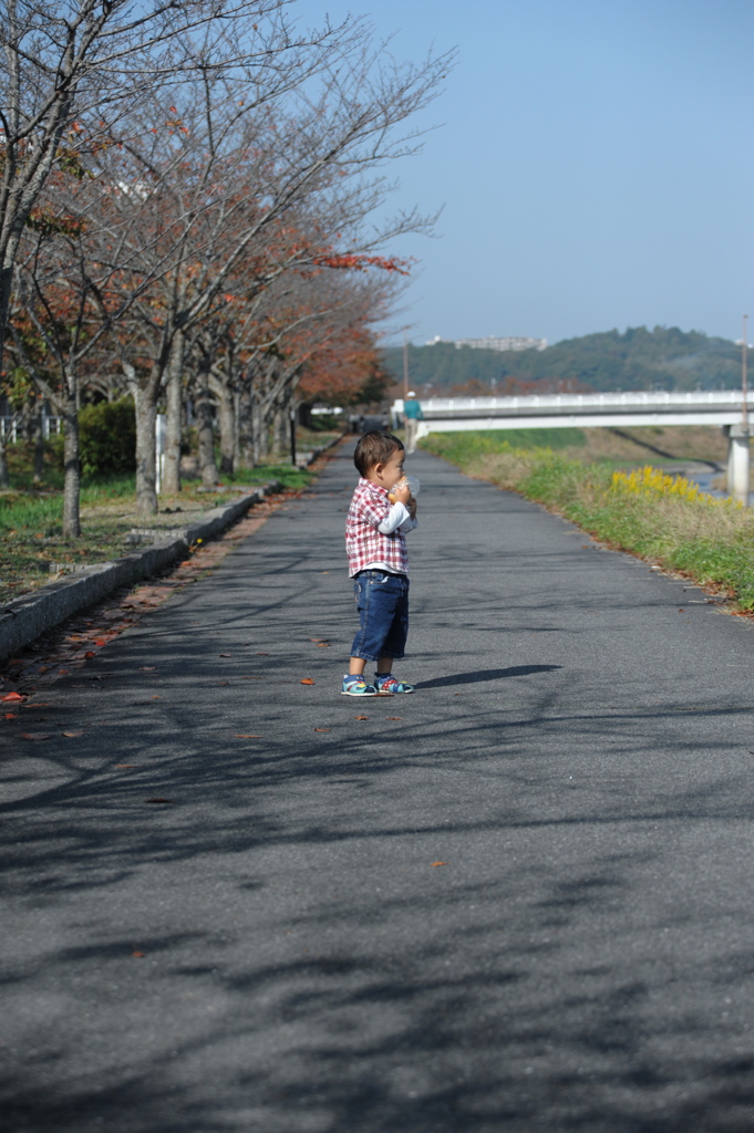 行くべきか戻るべきか