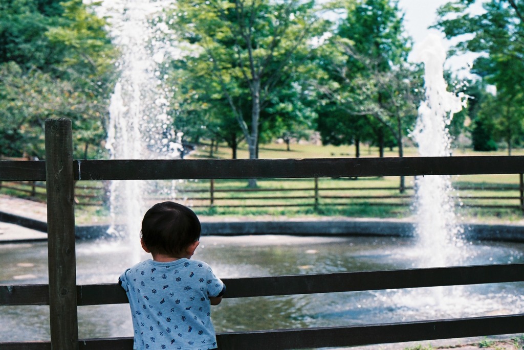 オアシス発見！