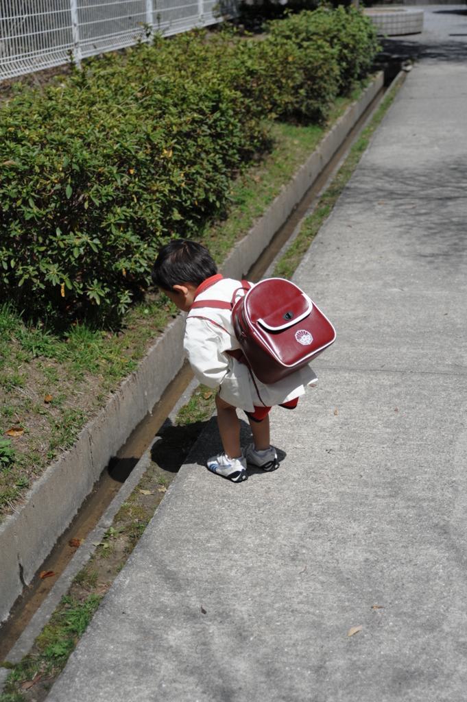 年少さん　初登園