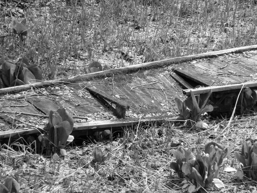 壊れた木製通路