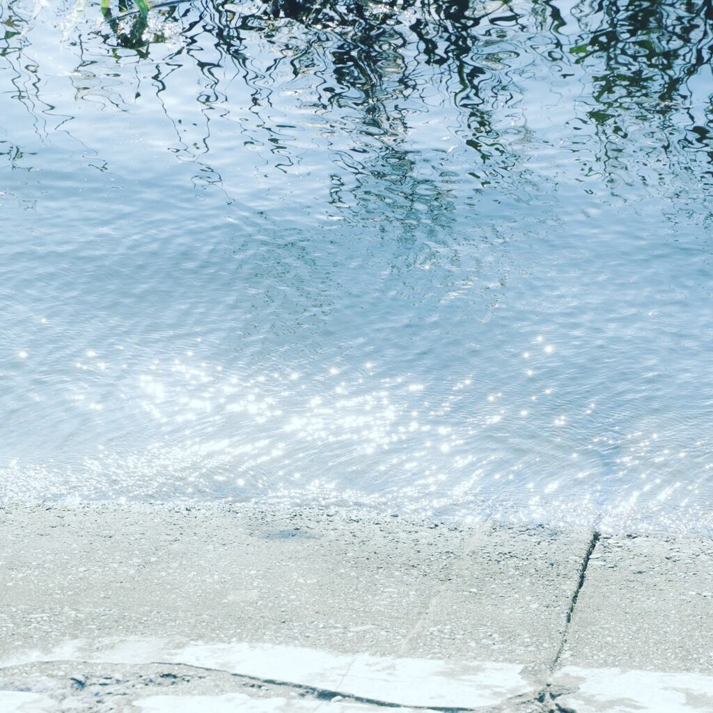 浦