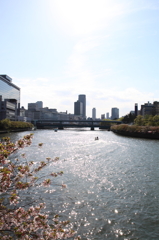 天満橋を望む-2