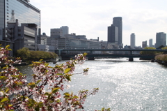 天満橋を望む-1