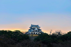 hikone castle