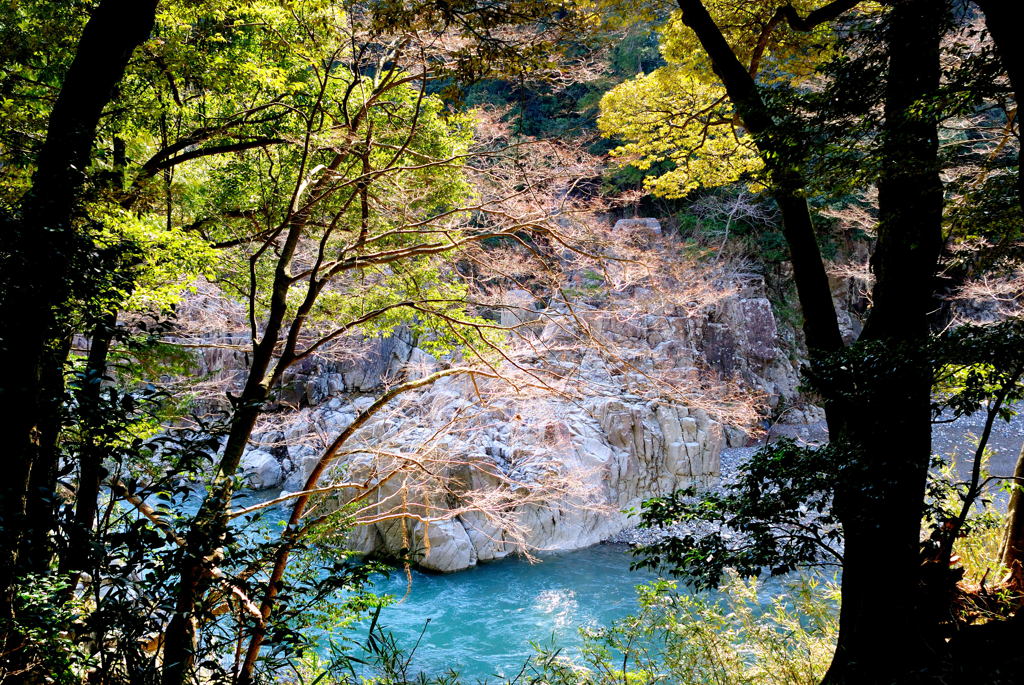 若草色川