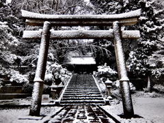 torii
