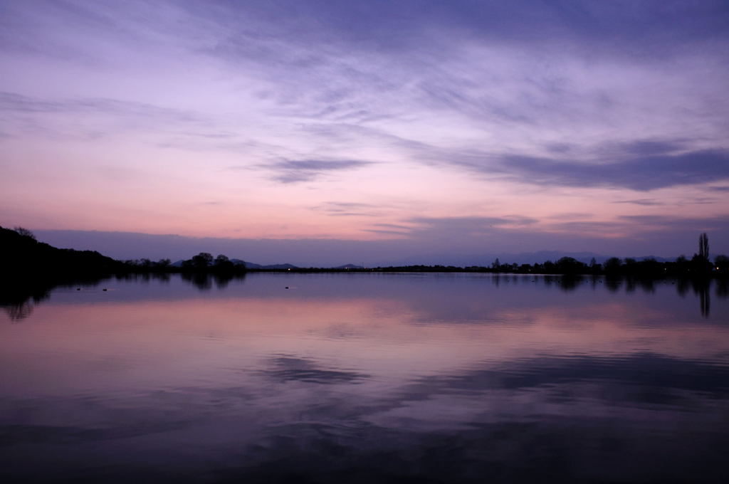 sone marsh