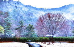 sonenuma park