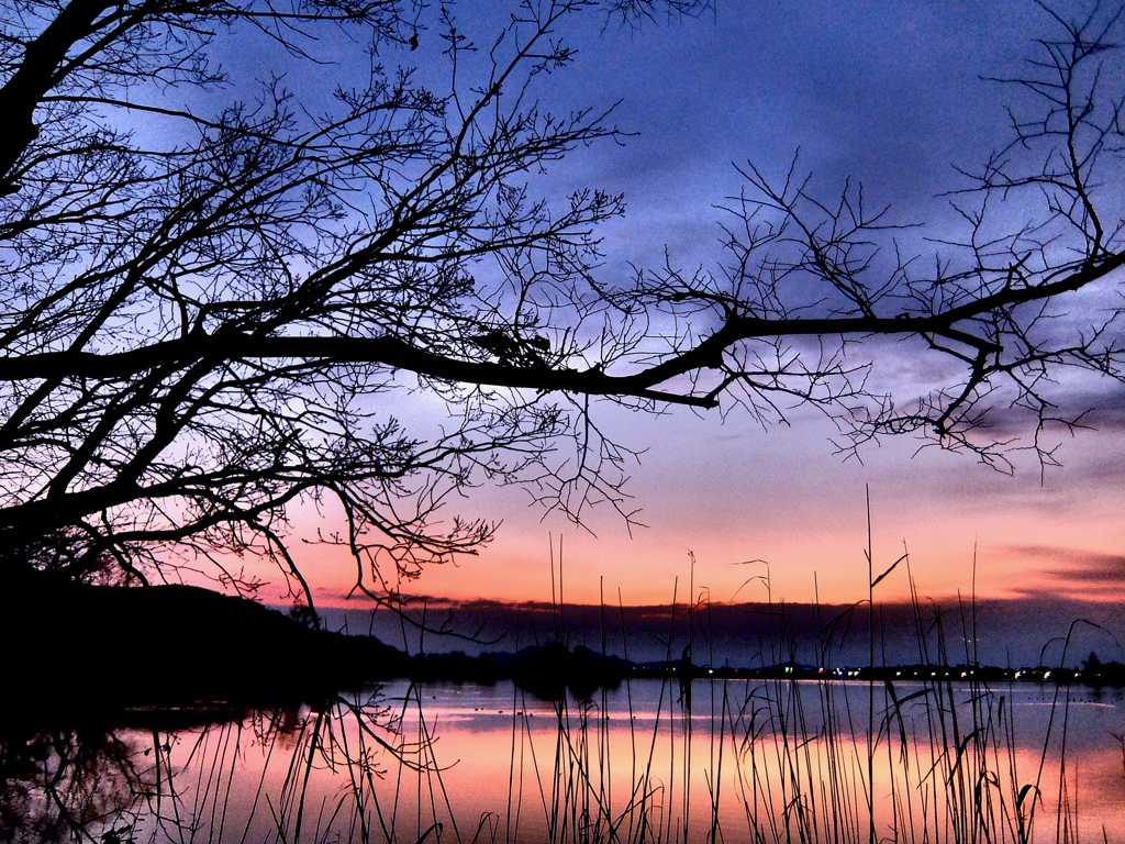 evening sky