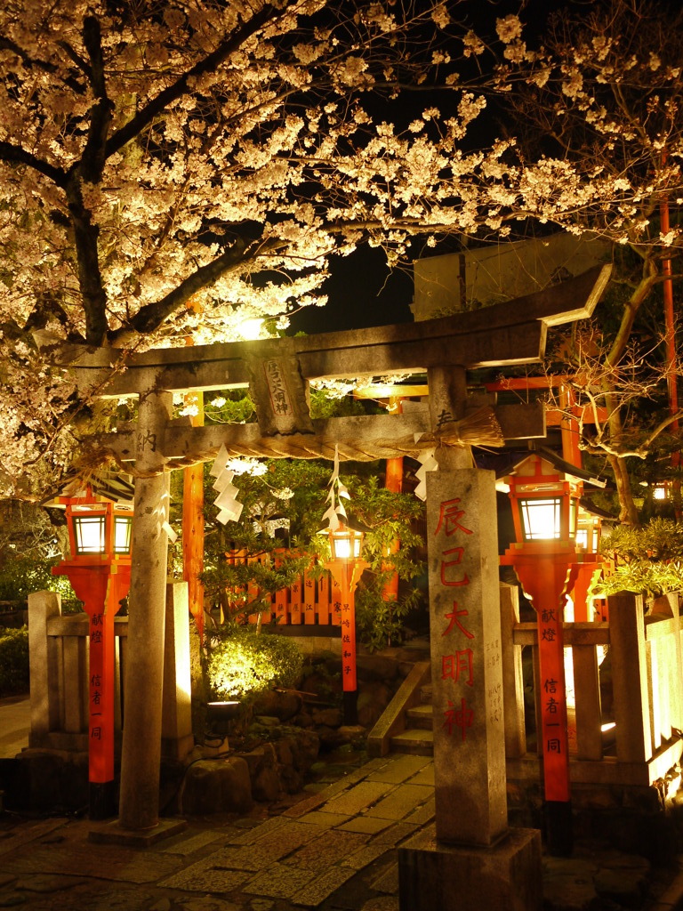 Kyoto Shirakawa