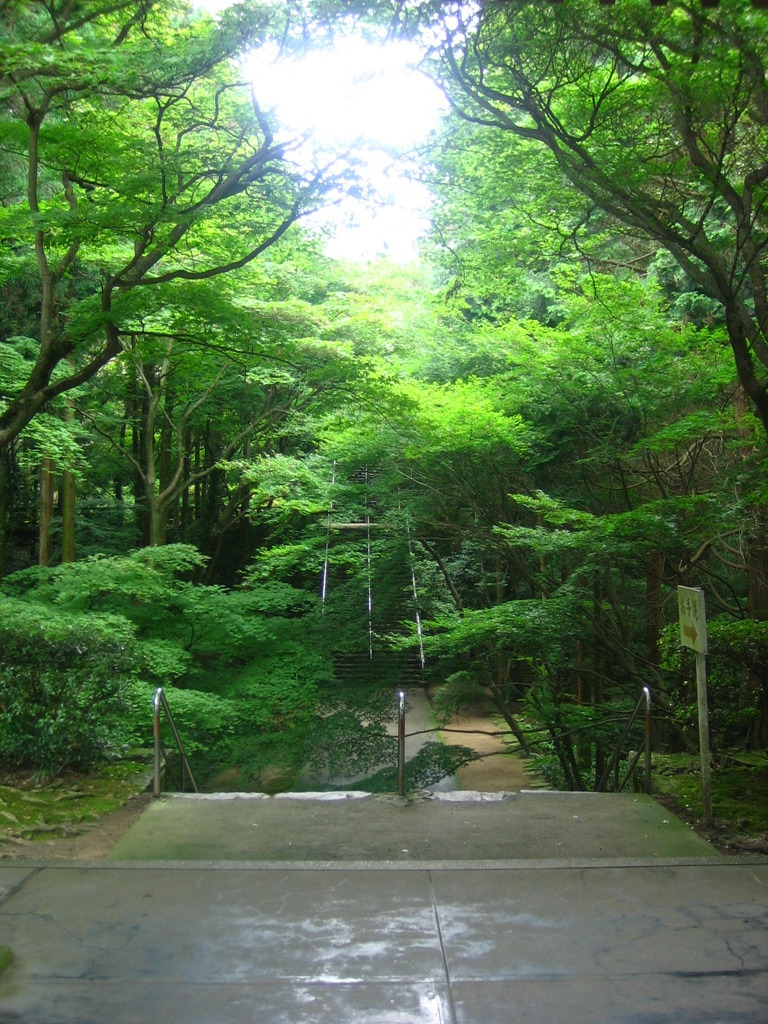 Road 88
