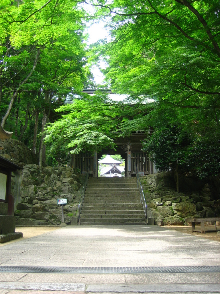Road 88