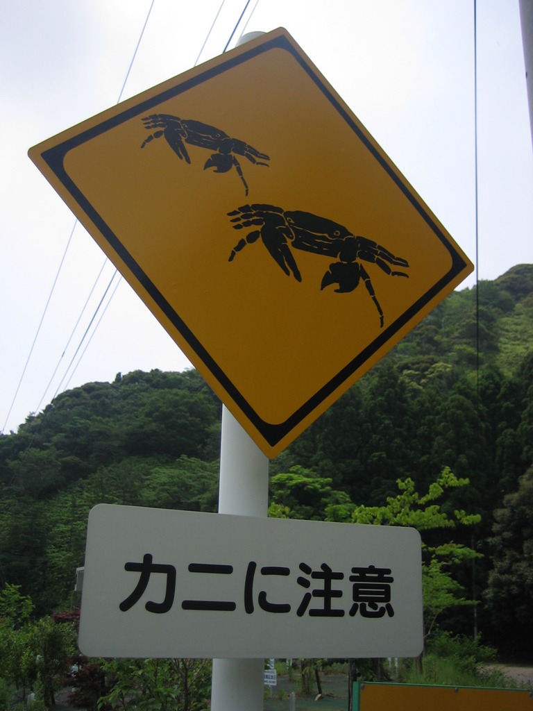 Road 88