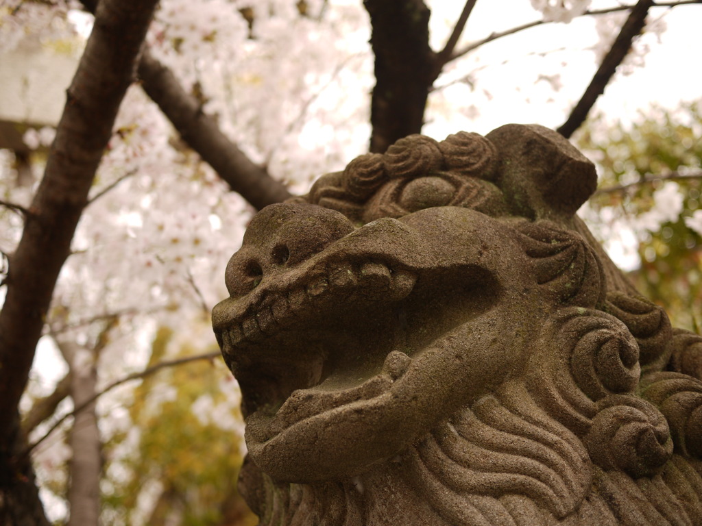 Kyoto Yasaka