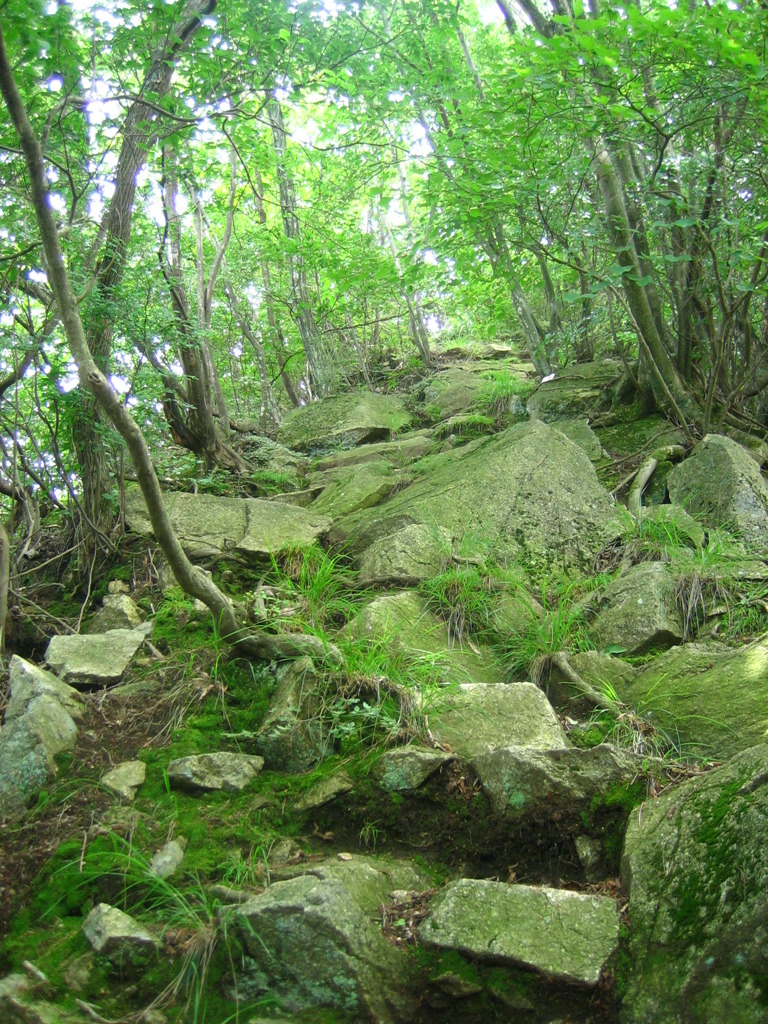 Road 88
