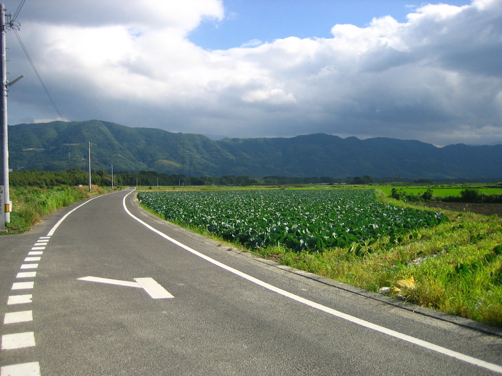 Road 88