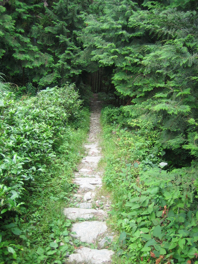 Road 88