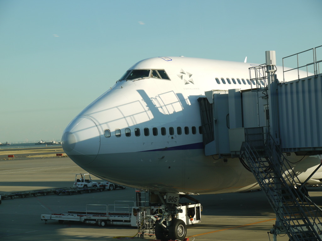 ANA 1