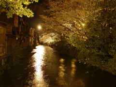 Kyoto Shirakawa