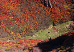 三股山　紅葉