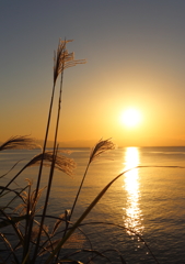 夕日