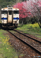 日田英彦山線